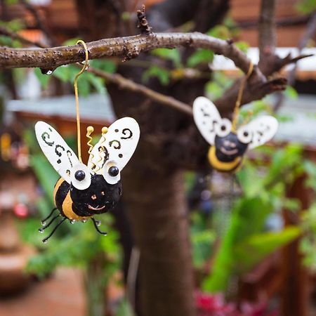 Pao Come Boutique House (Adults Only) Chiang Mai Eksteriør bilde
