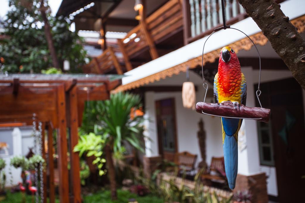 Pao Come Boutique House (Adults Only) Chiang Mai Eksteriør bilde